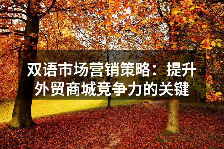 双语市场营销策略：提升外贸商城竞争力的关键