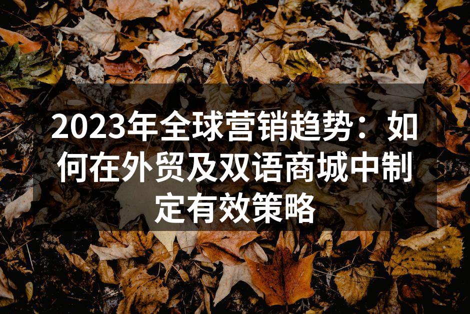 2023年全球营销趋势：如何在外贸及双语商城中制定有效策略