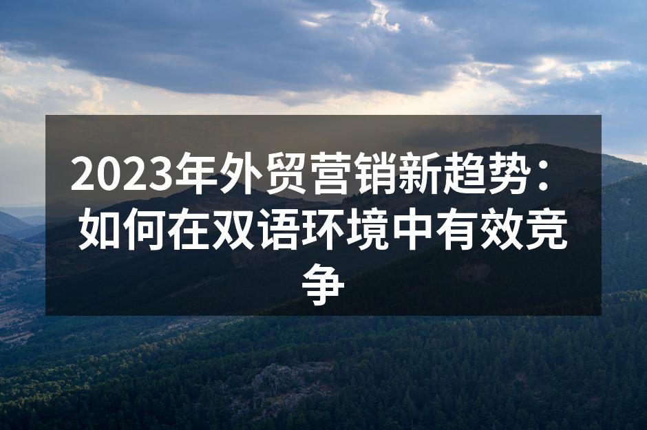 2023年外贸营销新趋势：如何在双语环境中有效竞争